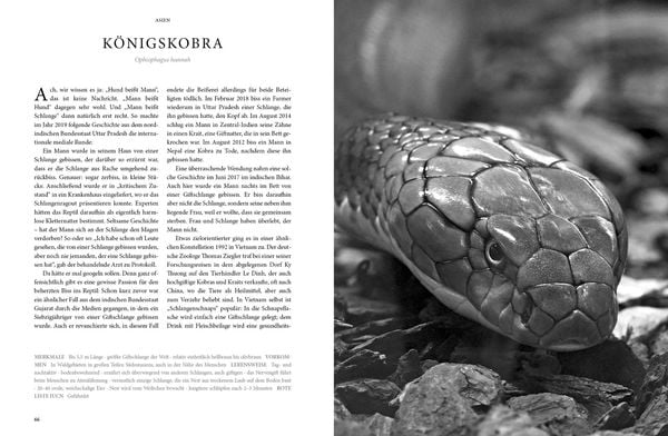 Produktbild: Reptilia