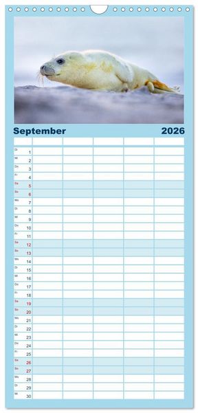 Produktbild: Familienplaner 2026 - Junge Kegelrobben mit 5 Spalten (Wandkalender, 21 x 45 cm) CALVENDO
