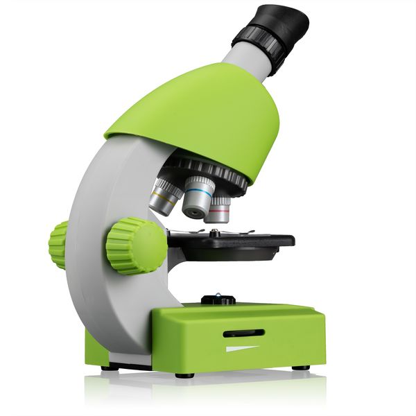 Produktbild: Bresser Junior 13122 - Kinder-Mikroskop (gr&uuml;n) mit 40-640x Vergr&ouml;&szlig;erung mit LED, Zoom-Okular, Smartphonehalter und Urzeitkrebse-Set