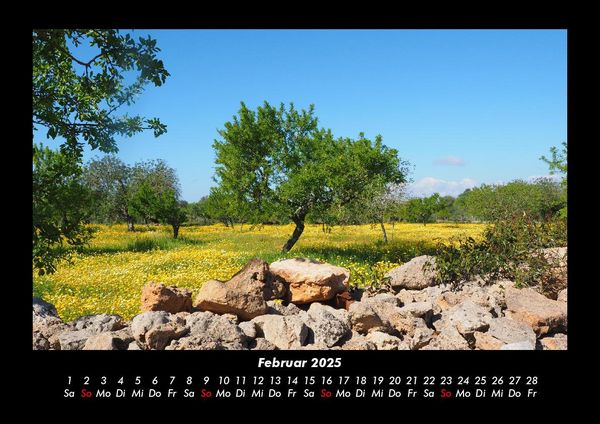 Produktbild: B&auml;ume 2025 Fotokalender DIN A3