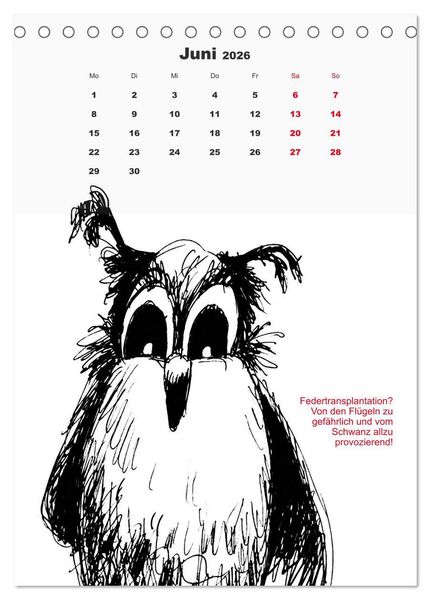 Produktbild: Vor dem Spiegel 2026 (Tischkalender 2026 DIN A5 hoch), CALVENDO Monatskalender