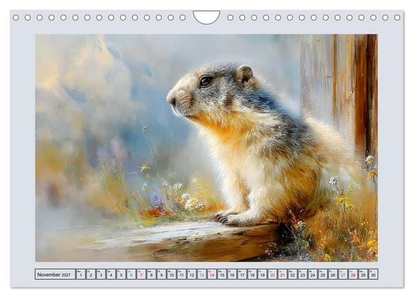 Produktbild: Murmeltiere. Kleine W&auml;chter der Berge (Wandkalender 2027 DIN A4 quer), CALVENDO Monatskalender