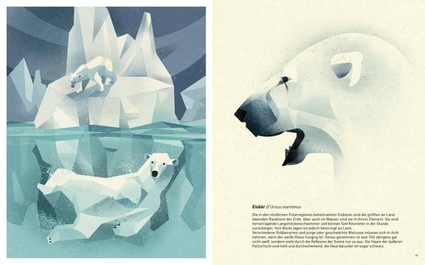 Produktbild: Die Welt der wilden Tiere