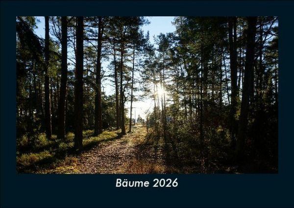 Bäume 2026 Fotokalender DIN A5
