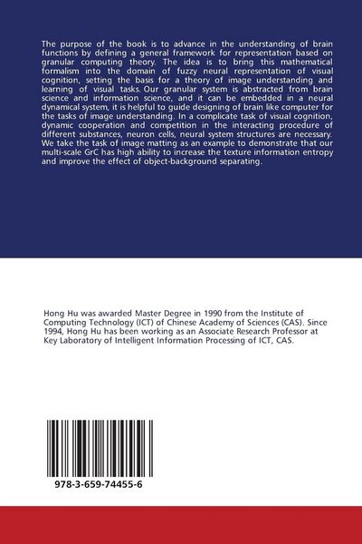 Produktbild: Perception Granular Computing in Visual Cognition Task