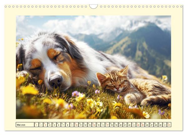 Produktbild: Australian Shepherd. Wanderfreude auf Pfoten im Bergsommer (Wandkalender 2026 DIN A3 quer), CALVENDO Monatskalender