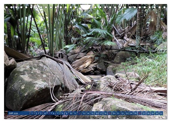 Produktbild: Seychellen - Wild und Sch&ouml;n (Wandkalender 2026 DIN A4 quer), CALVENDO Monatskalender