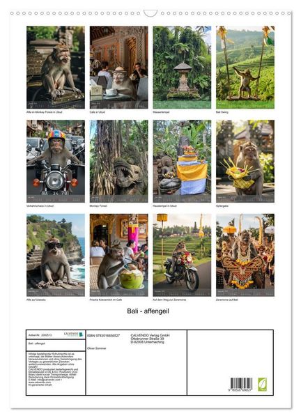 Produktbild: Bali - affengeil (Wandkalender 2026 DIN A2 hoch), CALVENDO Monatskalender