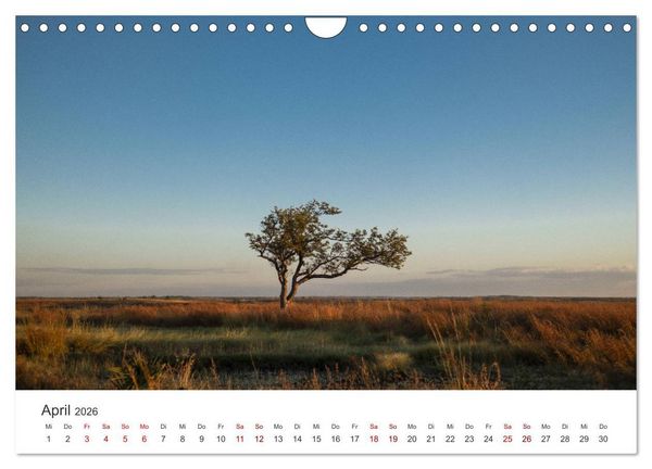 Produktbild: Madagaskar - Eine au&szlig;ergew&ouml;hnliche und wundersch&ouml;ne Insel. (Wandkalender 2026 DIN A4 quer), CALVENDO Monatskalender