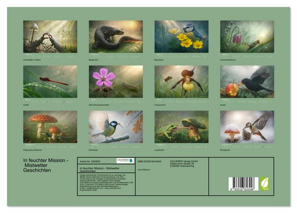 Produktbild: In feuchter Mission - Mistwetter Geschichten (Wandkalender 2026 DIN A3 quer), CALVENDO Monatskalender