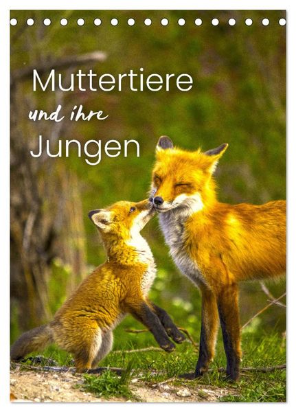 Produktbild: Muttertiere und ihre Jungen (Tischkalender 2026 DIN A5 hoch), CALVENDO Monatskalender