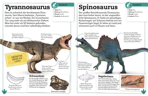 Produktbild: Dinosaurier