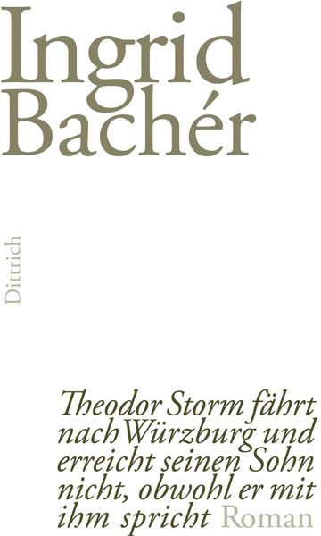 Produktbild: Theodor Storm f&auml;hrt nach W&uuml;rzburg und erreicht seinen Sohn nicht, obwohl er mit ihm spricht