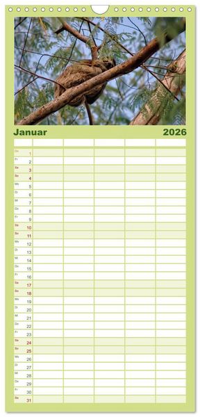 Produktbild: Familienplaner 2026 - Abh&auml;ngen - Faultier mit 5 Spalten (Wandkalender, 21 x 45 cm) CALVENDO