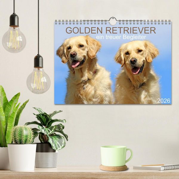Produktbild: Golden Retriever ein treuer Begleiter (Wandkalender 2026 DIN A4 quer), CALVENDO Monatskalender