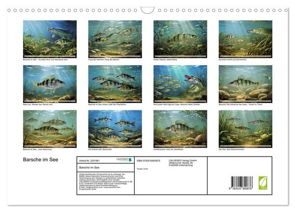 Produktbild: Barsche im See (Wandkalender 2027 DIN A3 quer), CALVENDO Monatskalender