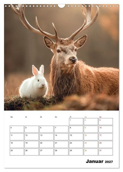 Produktbild: Ein Herz und eine Schnauze - Ein tierisch buntes Miteinander (Wandkalender 2027 DIN A3 hoch), CALVENDO Monatskalender