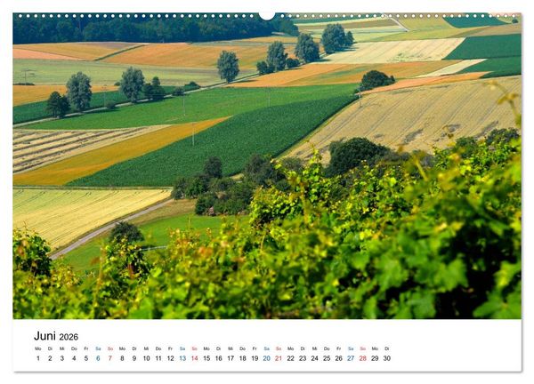 Produktbild: Felder und Wiesen (Wandkalender 2026 DIN A2 quer), CALVENDO Monatskalender