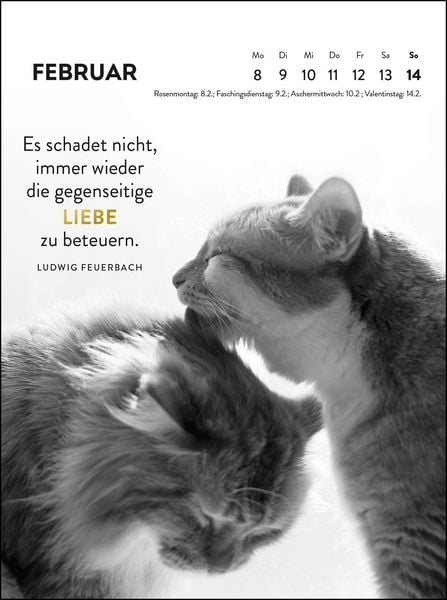 Produktbild: Wochenkalender 2027: Goldene Katzenweisheiten f&uuml;r jeden Tag
