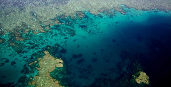 Produktbild: Das Great Barrier Reef - Naturwunder der Superlative