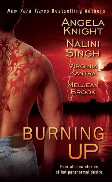 Produktbild: Burning Up