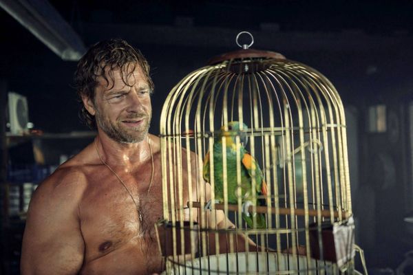 Produktbild: Der K&ouml;nig von Palma - Staffel 2 [2 DVDs]
