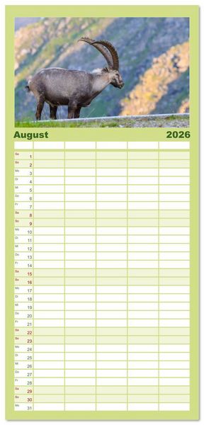 Produktbild: Familienplaner 2026 - Bergk&ouml;nige - Steinb&ouml;cke im Blickpunkt der Naturfotografie mit 5 Spalten (Wandkalender, 21 x 45 cm) CALVENDO