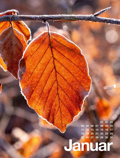 Produktbild: Fr&uuml;hling, Sommer, Herbst & Winter Kalender 2027