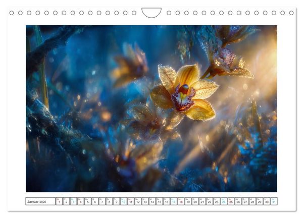 Produktbild: Zwischen Natur und Kunst (Wandkalender 2026 DIN A4 quer), CALVENDO Monatskalender
