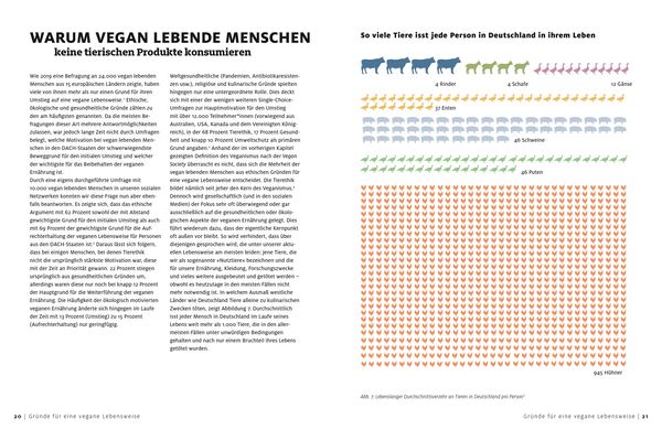 Vegane Ernährung für Einsteiger