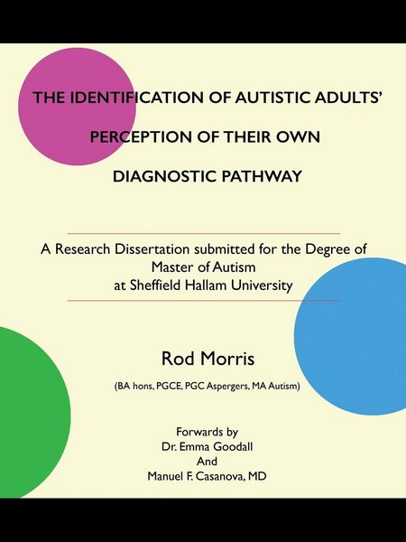 Produktbild: THE IDENTIFICATION OF AUTISTIC ADULTS' PERCEPTION OF THEIR OWN DIAGNOSTIC PATHWAY