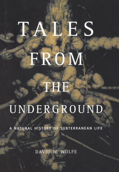 Produktbild: Tales From The Underground