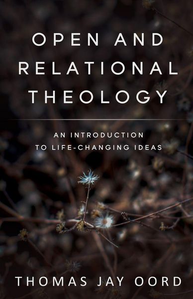 Produktbild: Open and Relational Theology