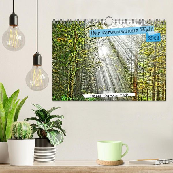 Produktbild: Verwunschene Waldtr&auml;ume: Ein Kalender voller Magie (Wandkalender 2026 DIN A4 quer), CALVENDO Monatskalender
