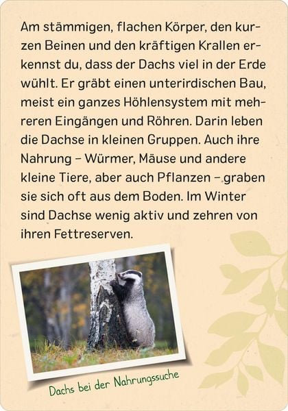 Produktbild: Naturforscher-Kids &ndash; Wald