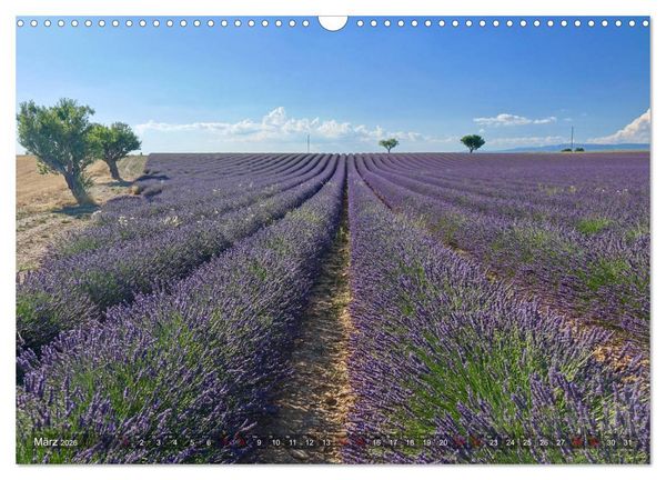 Produktbild: Lavendel. Der Duft der Provence (Wandkalender 2026 DIN A3 quer), CALVENDO Monatskalender
