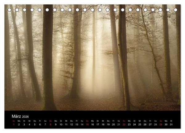 Produktbild: Mysterium Wald (Tischkalender 2026 DIN A5 quer), CALVENDO Monatskalender