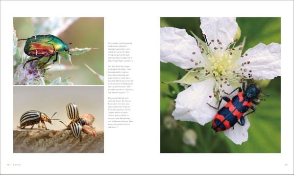 Produktbild: Unsere einzigartige Insektenwelt