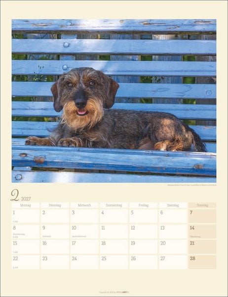 Produktbild: Dackel Kalender 2027