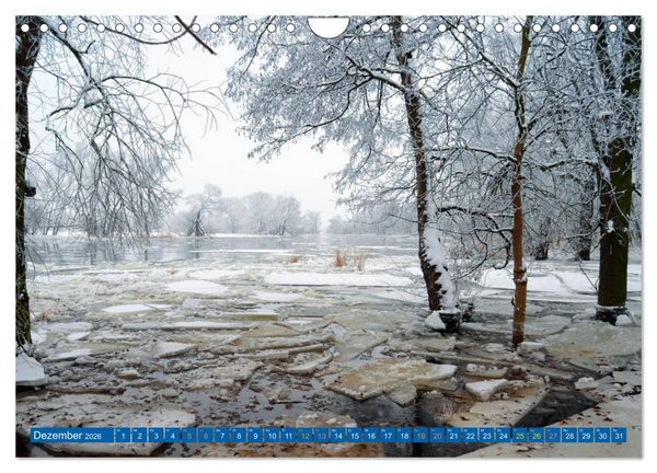 Produktbild: Brandenburg an der Havel - Stadt der Flussarme, Kan&auml;le und Inseln (Wandkalender 2026 DIN A4 quer), CALVENDO Monatskalender