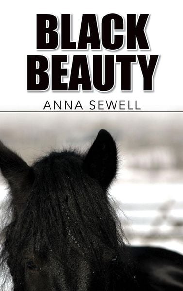 Produktbild: Black Beauty