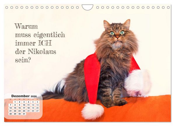Produktbild: Tierisch und Heiter - Das Leben geht weiter 2026 (Wandkalender 2026 DIN A4 quer), CALVENDO Monatskalender