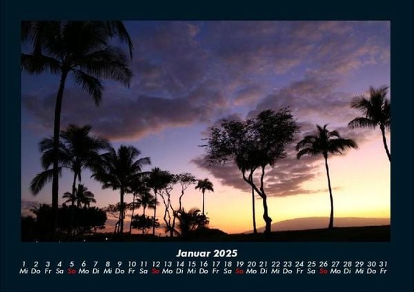 Produktbild: Palmentraum 2025 Fotokalender DIN A4