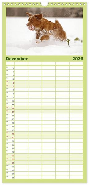 Produktbild: Familienplaner 2026 - Nova Scotia Duck Tolling Retriever mit 5 Spalten (Wandkalender, 21 x 45 cm) CALVENDO