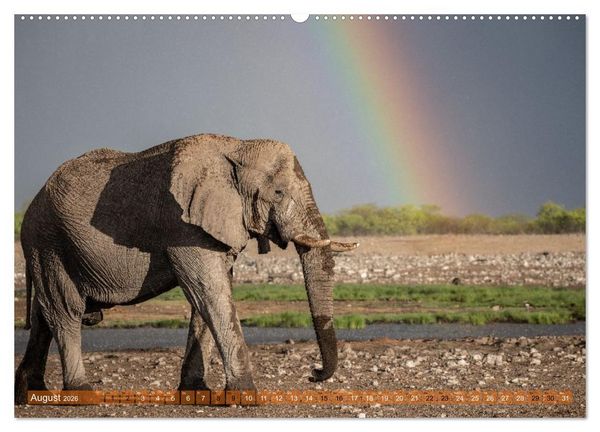 Produktbild: Das s&uuml;dliche Afrika 2026 (hochwertiger Premium Wandkalender 2026 DIN A2 quer), Kunstdruck in Hochglanz