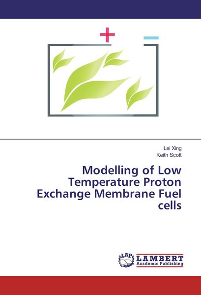 Produktbild: Modelling of Low Temperature Proton Exchange Membrane Fuel cells