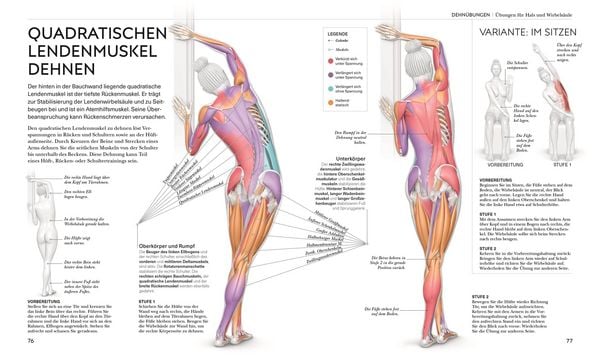 Produktbild: Stretching - Die Anatomie verstehen