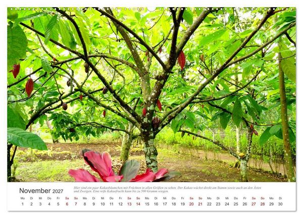 Produktbild: JAVA Natur pur (hochwertiger Premium Wandkalender 2027 DIN A2 quer), Kunstdruck in Hochglanz
