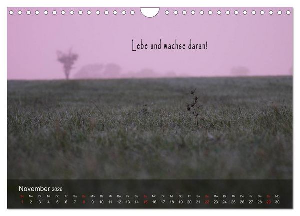 Produktbild: wundersch&ouml;ne Lichtmomente (Wandkalender 2026 DIN A4 quer), CALVENDO Monatskalender