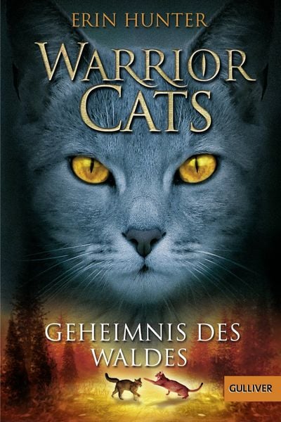 Warrior Cats. Geheimnis des Waldes / Warrior Cats 1 Band 3
